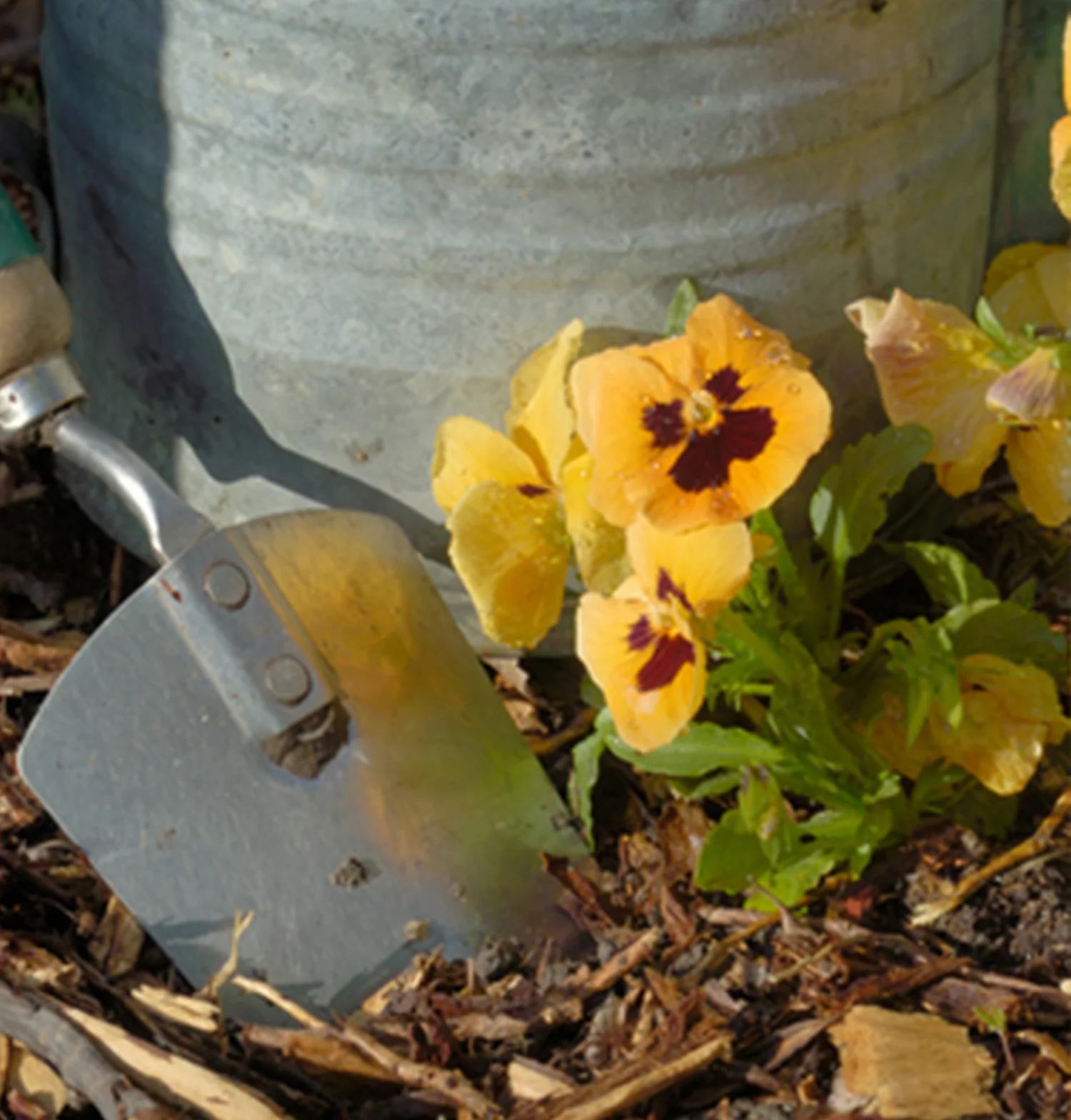 Landscape Bark Bale – 100 Litre Bag - Image 2